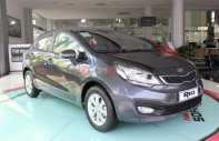 Kia Rio GMT 2016 - Cần bán Kia Rio GMT đời 2016, xe nhập giá 479 triệu tại Bình Thuận  