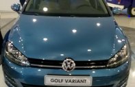 Volkswagen Golf Variant 2015 - Bán Volkswagen Golf Variant nhập Đức, options không thiếu thứ gì, 0911.4343.99 giá 1 tỷ 169 tr tại Tp.HCM