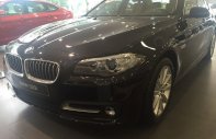 BMW 5 Series 520i 2016 - Cần bán xe BMW 5 Series 520i đời 2016, màu đen, nhập khẩu giá 2 tỷ 213 tr tại Tiền Giang