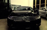 Volkswagen Passat   2013 - Bán xe Volkswagen Passat CC đời 2013, màu đen, nhập khẩu nguyên chiếc giá 1 tỷ 333 tr tại Tp.HCM