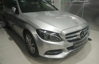 Mercedes-Benz C200 2015 - Cần bán Mercedes C200 sản xuất 2015, màu bạc giá 1 tỷ 250 tr tại Lâm Đồng