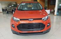 Ford EcoSport 2016 - Bán ô tô Ford EcoSport đời 2017, màu xám (ghi) giá 698 triệu tại Lai Châu