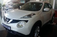 Nissan Juke CVT   2016 - Bán ô tô Nissan Juke CVT năm 2016, màu trắng  giá 1 tỷ 60 tr tại Hà Nội