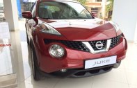 Nissan Juke CVT 2016 - Cần bán xe Nissan Juke CVT sản xuất 2016, màu đỏ, xe nhập giá 1 tỷ 60 tr tại Tp.HCM