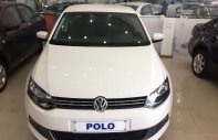 Volkswagen Polo 2015 - Bán xe Volkswagen Polo năm 2015, nhập khẩu nguyên chiếc, ưu đãi giá sốc, tặng phụ kiện, giao xe toàn quốc giá 610 triệu tại Nghệ An