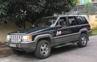 Jeep Grand Cheroke   1994 - Cần bán Jeep Grand Cheroke 1994, màu đen, nhập khẩu, giá 225tr giá 225 triệu tại Tp.HCM