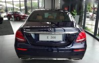 Mercedes-Benz E300   2016 - Bán ô tô Mercedes E300 sản xuất 2016, nhập khẩu nguyên chiếc giá 3 tỷ 49 tr tại Đà Nẵng