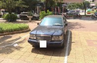 Mercedes-Benz E class 1995 - Cần bán gấp Mercedes đời 1995, màu xanh lam, nhập khẩu giá 495 triệu tại Hà Nội