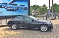 Mercedes-Benz C250 2016 - Bán Mercedes C250 2016, màu đen, nhập khẩu giá 1 tỷ 500 tr tại Đồng Nai