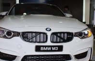 BMW M3 2017 - Bán BMW M3 đời 2017, màu trắng, nhập khẩu giá 3 tỷ 798 tr tại Tp.HCM
