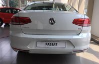 Volkswagen Passat E 2016 - Volkswagen Passat E, Nhập Đức nguyên chiếc giá rất Việt Nam. LH 0969.560.733 Minh giá 1 tỷ 379 tr tại Cần Thơ