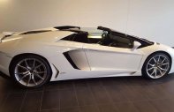 Lamborghini Aventado 2016 - Bán xe Lamborghini Aventado đời 2016, màu trắng, nhập khẩu giá 11 tỷ 398 tr tại Tp.HCM