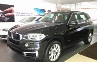 BMW X5 xDrive 35i 2017 - Bán xe BMW X5 xDrive 35i 2017, màu đen, nhập khẩu, ưu đãi cực lớn, giao xe ngay giá 3 tỷ 788 tr tại Đà Nẵng
