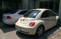 Volkswagen Beetle 2009 - Volkswagen Beetle nhập khẩu (còn thương lượng) - Quang Long 0933689294 giá 700 triệu tại Gia Lai
