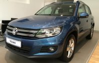 Volkswagen Tiguan 2016 - Volkswagen Tiguan nhập Đức - 2.0 Turbo TSI - 4x4 4Motion - đối thủ của CX5, CRV - Giao xe tận nhà - Quang Long 0933689294 giá 1 tỷ 290 tr tại Đắk Lắk