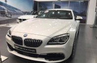 BMW 6 Series 640i Gran Coupe 2017 - Bán ô tô BMW 6 Series 640i Gran Coupe đời 2017, màu trắng, xe nhập giá 4 tỷ 238 tr tại TT - Huế