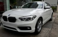BMW 1 Series 118i 2017 - Bán ô tô BMW 1 Series 118i 2017, màu trắng, nhập khẩu giá 1 tỷ 328 tr tại Bình Định
