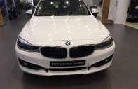 BMW 3 Series 320i Gran Turismo 2017 - Bán xe BMW 3 Series 320i Gran Turismo đời 2017, màu trắng, nhập khẩu giá 2 tỷ 98 tr tại Quảng Trị