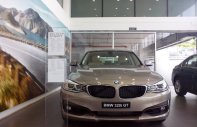BMW 3 Series 320i GT 2017 - Bán BMW 3 Series 320i GT đời 2017, màu kem (be), nhập khẩu chính hãng giá 2 tỷ 98 tr tại Gia Lai