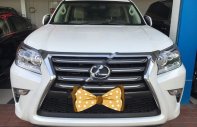 Lexus GX460   2017 - Chính chủ bán Lexus GX460 đời 2017, màu trắng, nhập khẩu giá 4 tỷ 950 tr tại Hà Nội