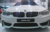 BMW M3 2017 - Bán xe BMW M3 Sedan, màu trắng, nhập khẩu chính hãng giá 3 tỷ 958 tr tại Đà Nẵng