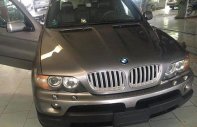 BMW X5 2004 - Bán ô tô BMW X5 đời 2004, màu ghi vàng   giá 540 triệu tại Đắk Lắk