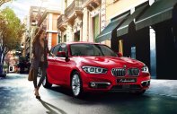 BMW 1 Series 118i 2017 - Bán ô tô BMW 1 Series 118i đời 2017, màu đỏ, nhập khẩu chính hãng giá 1 tỷ 328 tr tại Bình Định