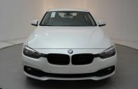 BMW 3 Series 320i 2017 - Bán xe BMW 320i 2017, màu trắng, nhập khẩu chính hãng, có xe giao ngay, giá rẻ nhất giá 1 tỷ 468 tr tại Quảng Trị