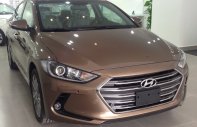 Hyundai Elantra 1.6 MT 2017 - Cần bán Hyundai Elantra 2017 giá cực tốt, hỗ trợ vay vốn 100%. Liên hệ: 01887177000 (Phú Yên) giá 615 triệu tại Phú Yên