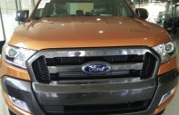 Ford Ranger XLS-MT 2017 - Ford Ranger Wildtrak 3.2AT đời 2017, nhập khẩu thái lan, LH 0932 628 750 giá 865 triệu tại Bình Dương