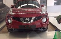 Nissan Juke 2017 - Bán Nissan Juke 2017, màu đỏ giá 1 tỷ 60 tr tại Hà Nội