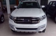 Ford Everest  Trend 2016 - Cần bán xe Ford Everest Trend màu trắng, giao ngay giá 1 tỷ 185 tr tại Tp.HCM