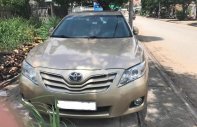 Toyota Camry LE 2010 - Bán xe Toyota Camry LE đời 2010, màu vàng, nhập khẩu giá 920 triệu tại Tp.HCM