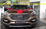 Hyundai Santa Fe 2017 - Bán xe Hyundai Santa Fe sản xuất 2017, màu nâu, nhập khẩu nguyên chiếc giá 1 tỷ 20 tr tại Quảng Ngãi
