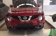 Nissan Juke  1.6L CVT 2017 - Bán ô tô Nissan Juke AT đời 2017, màu đỏ giá 1 tỷ 60 tr tại Hà Nội