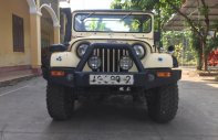 Jeep Wrangler 1990 - Cần bán gấp Jeep Wrangler đời 1990, nhập khẩu nguyên chiếc, giá 175tr giá 175 triệu tại Bắc Ninh