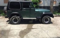 Jeep Wrangler 1995 - Bán ô tô Jeep Wrangler đời 1995, màu xanh lam, xe nhập số tự động  giá 180 triệu tại Bình Dương