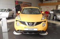 Nissan Juke 2016 - Bán ô tô Nissan Juke sản xuất 2016, màu vàng giá 1 tỷ 60 tr tại Hà Nội