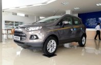 Ford EcoSport Titanium 1.5P AT 2017 - Bán Ford Ecosport Titanium, giá chỉ từ 115tr, L/h: 0962028368 giá 570 triệu tại Lạng Sơn