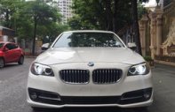 BMW 1 2014 - Việt Nhật Auto bán xe BMW 520i model 2015, màu Trắng nội thất kem. giá 1 tỷ 590 tr tại Hà Nội