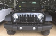 Jeep Wrangler Rubicon 2017 - Bán Jeep Wrangler Rubicon đời 2017, màu đen, xe nhập giá 4 tỷ tại Hà Nội