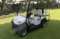 Hãng khác Xe du lịch 2017 - Cần bán xe điện sân Golf đời 2017, màu trắng, nhập khẩu nguyên chiếc giá 155 triệu tại Hà Nội