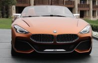 BMW Z4 2017 - Bán xe BMW Z4 đời 2017, màu nâu, xe nhập giá 2 tỷ 700 tr tại Tiền Giang