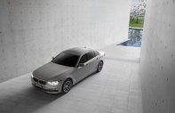 BMW 5 Series 2016 - Bán ô tô BMW 5 Series đời 2016, xe nhập giá 3 tỷ tại Tiền Giang