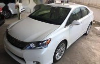 Lexus HS  250h  2010 - Cần bán xe Lexus HS 250h đời 2010, màu trắng, xe nhập giá 495 triệu tại Hà Nội