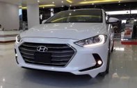 Hyundai Elantra   2017 - Cần bán xe Hyundai Elantra đời 2017, màu trắng số tự động giá 600 triệu tại Bạc Liêu