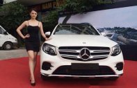Mercedes-Benz GLC-Class GLC300 2017 - Cần bán xe Mercedes GLC300 đời 2017, màu trắng, xe nhập giá 2 tỷ 149 tr tại Hải Phòng