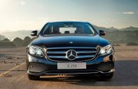 Mercedes-Benz E class E250 2017 - Bán Mercedes E250 đời 2017 giá 2 tỷ 479 tr tại Điện Biên