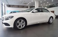 Mercedes-Benz E class E250 2017 - Bán ô tô Mercedes E250 2017, màu trắng, nhập khẩu giá 2 tỷ 479 tr tại Điện Biên