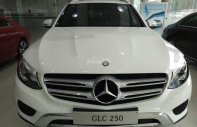 Mercedes-Benz Smart Glc 250  2016 - Bán xe Mercedes GLC 250 đời 2017 đủ màu, xe giao ngay nhiều quà tặng giá 1 tỷ 789 tr tại Bình Định